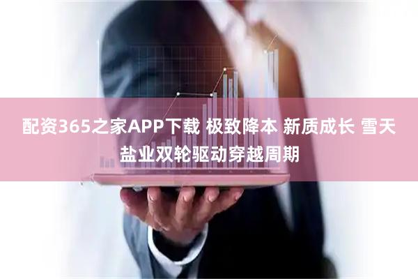 配资365之家APP下载 极致降本 新质成长 雪天盐业双轮驱动穿越周期