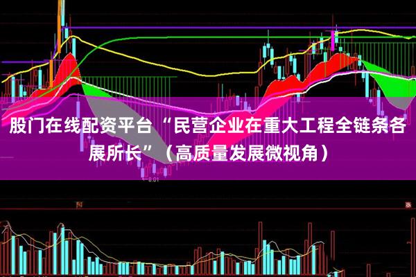 股门在线配资平台 “民营企业在重大工程全链条各展所长”（高质量发展微视角）